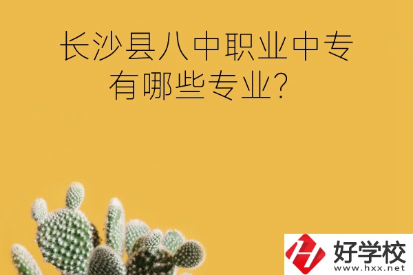 長沙縣八中職業(yè)中專好不好？有哪些專業(yè)？