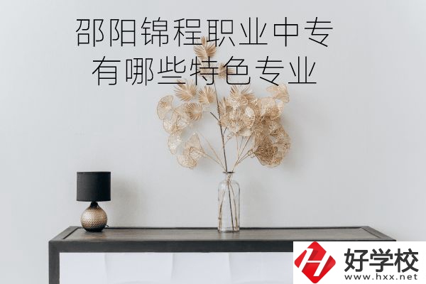 邵陽錦程職業(yè)中專有哪些特色專業(yè)？