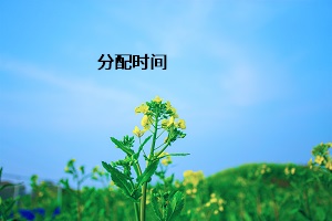 分配時(shí)間