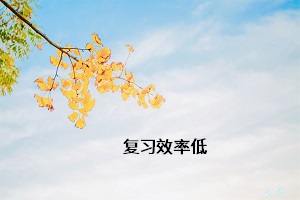 復(fù)習(xí)效率低