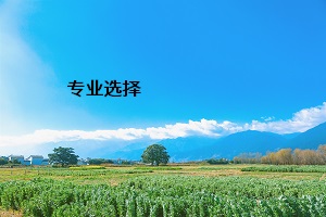 專業(yè)選擇