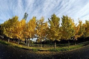 大專第三年才開始準(zhǔn)備普通專升本考試來得及嗎？該如何備考？