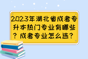 2023年湖北省成考專升本熱門專業(yè)有哪些？成考專業(yè)怎么選？