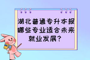 湖北普通專升本報哪些專業(yè)適合未來就業(yè)發(fā)展？