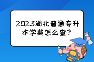 2023湖北普通專升本學(xué)費怎么查？