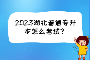 2023湖北普通專升本怎么考試？