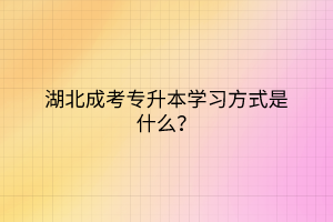 湖北成考專升本學習方式是什么？